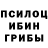Псилоцибиновые грибы мицелий Adrian Mrs