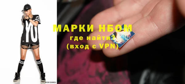 гашик Пересвет