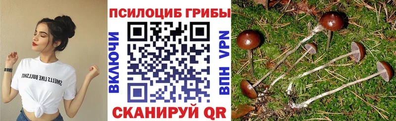 Галлюциногенные грибы мицелий  Артёмовский 
